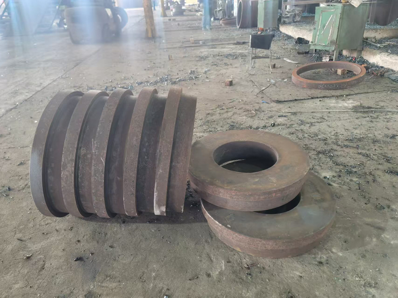 Seamless Hot Rolled Ring Forging Products