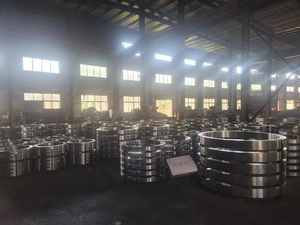 JIS G3106 Grade SM570 Rolled-Forging Ring Flange S460NL Rings