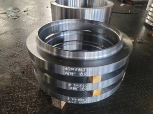 Large Diameter Forged Flanges 