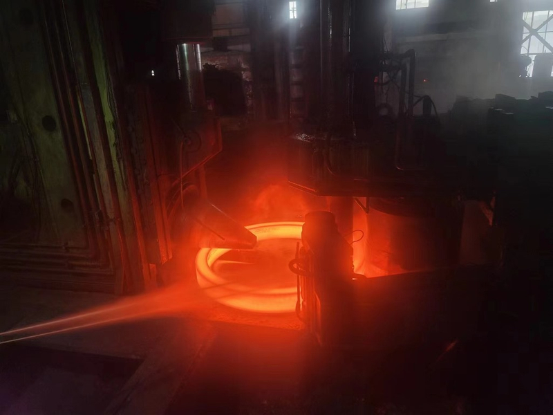 Forging Bear Ring Seamless Forged Ring