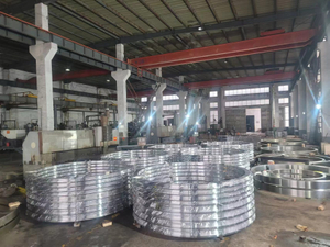 Alloy Steel Stainless Steel Seamless Hot Forging Rolled Rings
