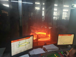 C22.3 / A105 / Rst 37.2 / 1503-221-410 Forged Rings, Forged Flanges