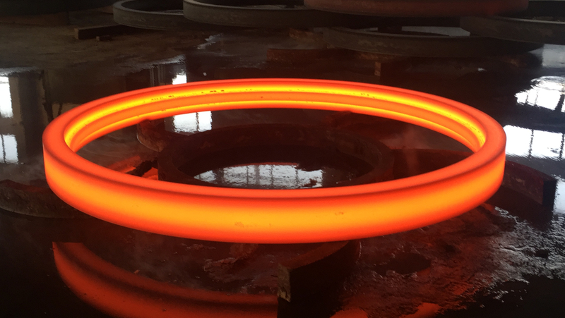 High-Quality Custom Forging Hot Ring Forgings From China