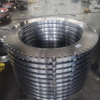Custom-designed Flanges And Blinds Flanges / China Manufacturer 