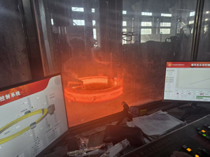 Equipment Sealing Ring Forgings ASTM A572 Grade 70