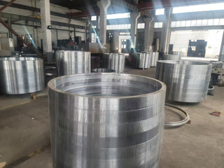 Pressure Vessel Forging Flanges Lock Ring Lock Lug Flanges
