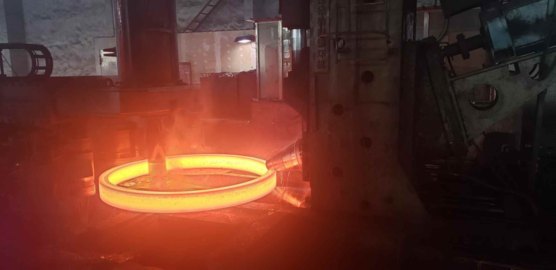 Carbon Steel / Alloy Steel Rolled Rings / Forging Rings