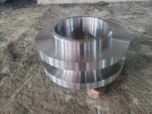 Big Size Open Die Forgings Hot Forgings China Manufacturer