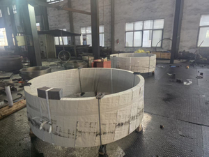 S355JR Forging Ring Flanges & Forged Plate Flanges