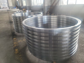 Pressure Vessel Forging Ring Flanges S355 SS304