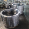 Forged Flanges for Large-scale Fittings 