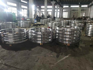 China Seamless Rolled Ring Forgings