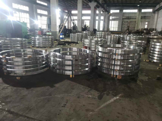 China Seamless Rolled Ring Forgings