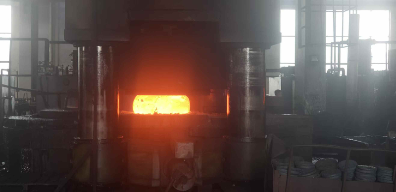 Ring Rolled Forgings Open Die Ring Forgings Supplier