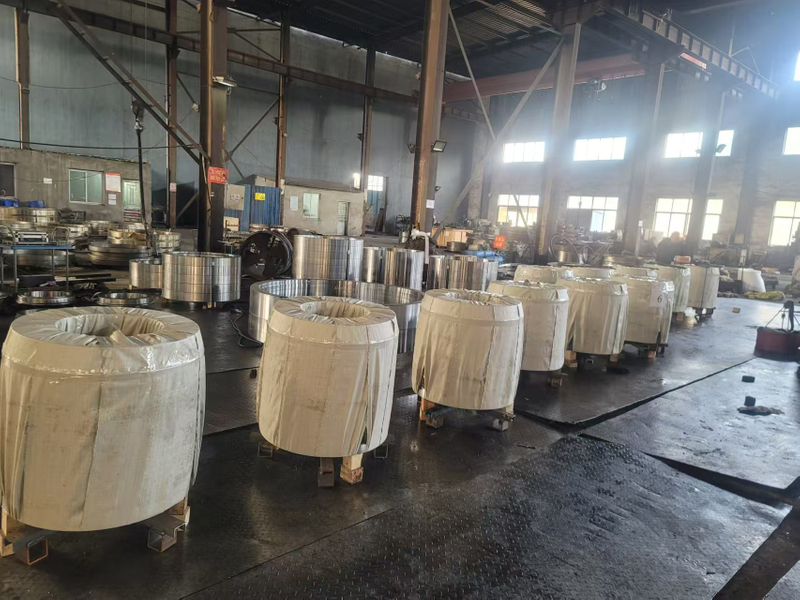 S0032 Standard Large Diameter Hot Forged Flanges