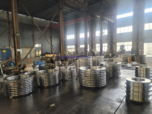 Connecting Pipeline Flanged Ring Plate Chinese Factory
