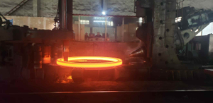 CARBON STEEL FORGED ROLLED RINGS FORGED FLANGES