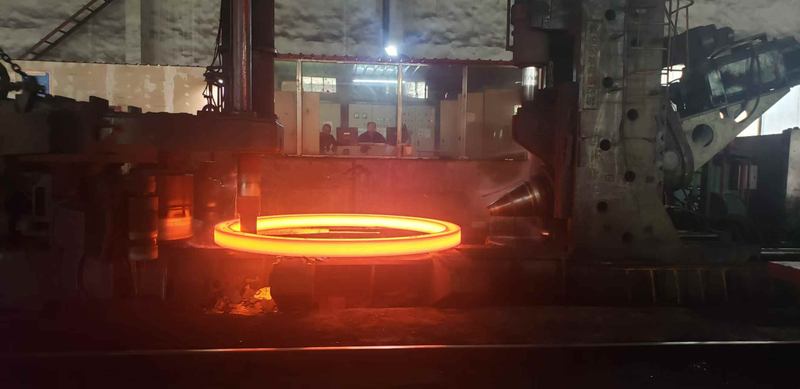 C22.3 / A105 / Rst 37.2 / 1503-221-410 Forged Rings, Forged Flanges