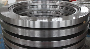 Forged Lock Ring Lock Lug Ring for Columns