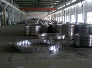 1.0501, C35/35/060A35/Cc35/C35/C35-1/1550/F. 113/1035 Ring Forgings / Hot Rolled Rings / Bearing Ring Forgings
