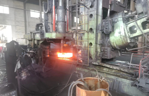 Forged & Hot Rolled Rings