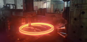 C22.3 / A105 / Rst 37.2 / 1503-221-410 Forged Rings, Forged Flanges
