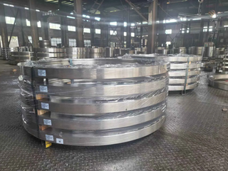 S355j2g3 Hot Forging Seamless Rolled Rings