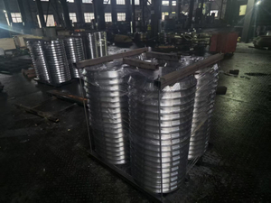 China Factory Flanges Ring Forgings Pipe Fittings 